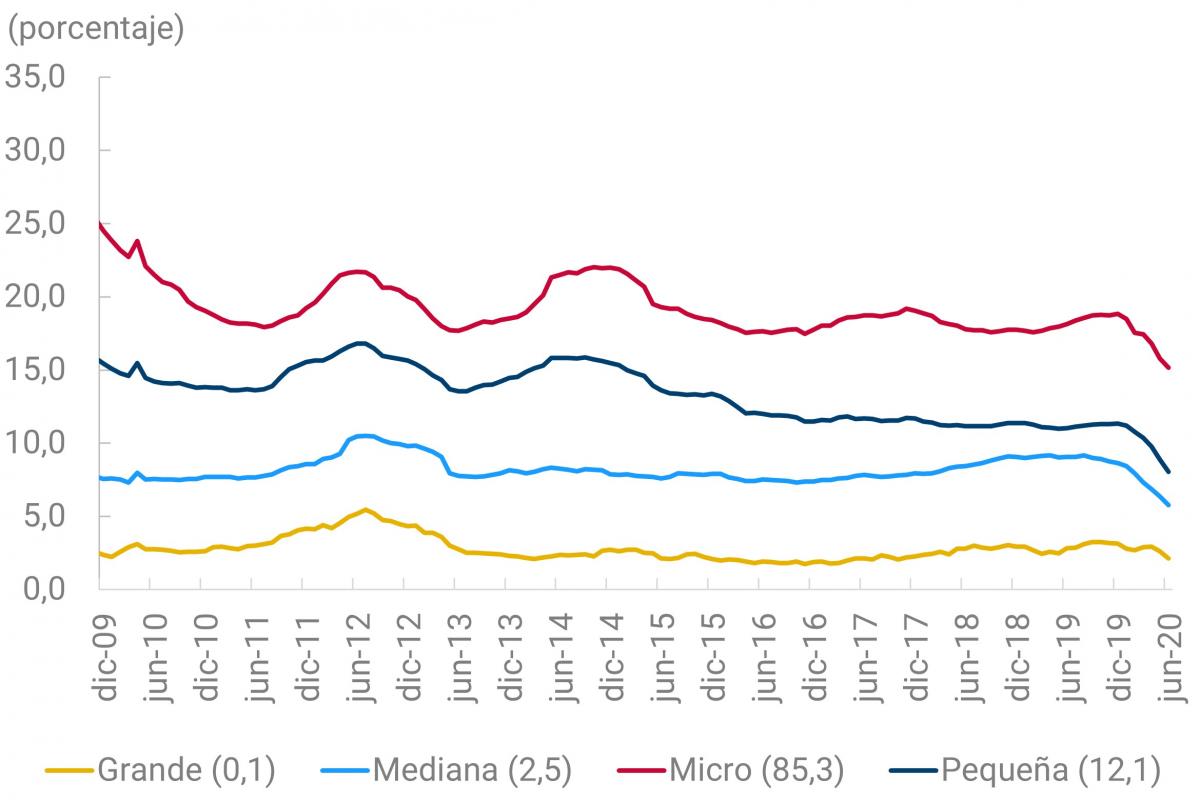 En este primer panel se muestran los porcentajes de creación de empresas, por tamaño, desde diciembre de 2009 a junio de 2020. Grande (0,1% en junio de 2020). Mediana (2,5% en junio de 2020). Pequeña (12,1% en junio de 2020). Micro (85,3% en junio de 2020). Para el periodo analizado, la tasa de creación de firmas es consistentemente mayor para aquellas de menor tamaño; sin embargo, se denota en el año 2020 una mayor afectación en la tasa de creación de estas empresas.